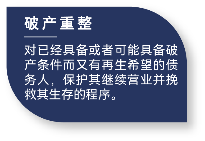 破产重整 高亮