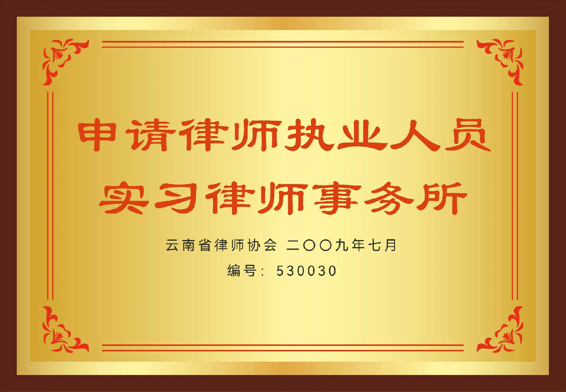 震序荣誉